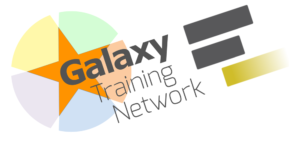 Galaxy Training Network logo