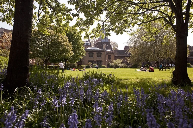 A photo of Cather House Sq Campus, Queen Mary University London